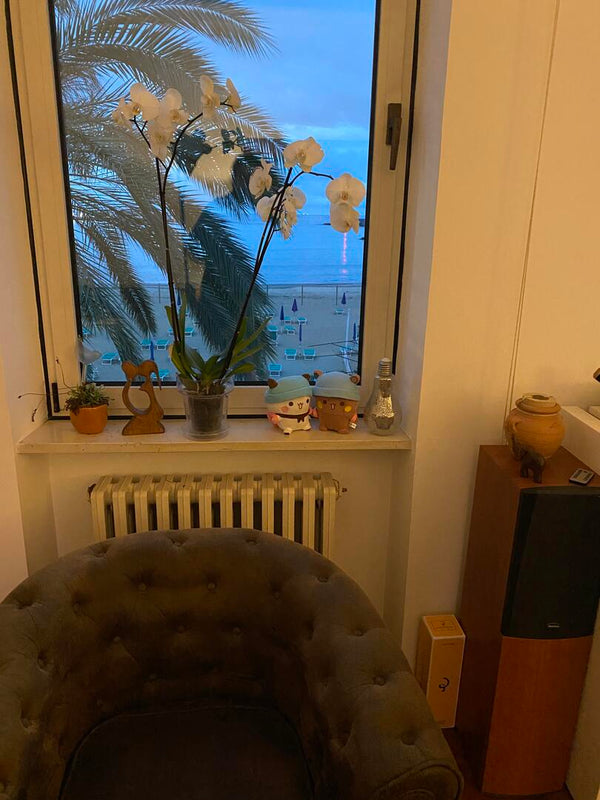 Esperienza molto positiva